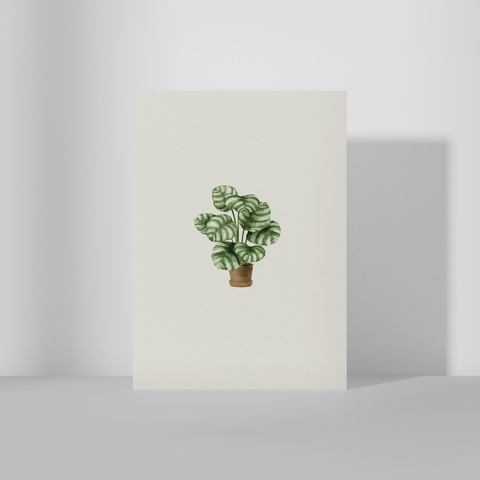 Pottaplanta・A6