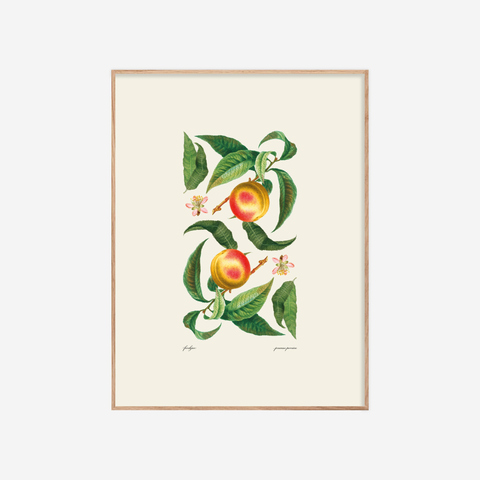 Ferskjur・Munstur・Plakat