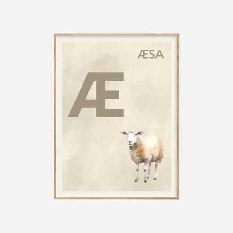 Íslenska stafrófið・Æ・Plakat