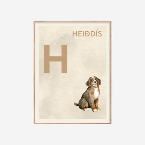 Íslenska stafrófið・H・Plakat
