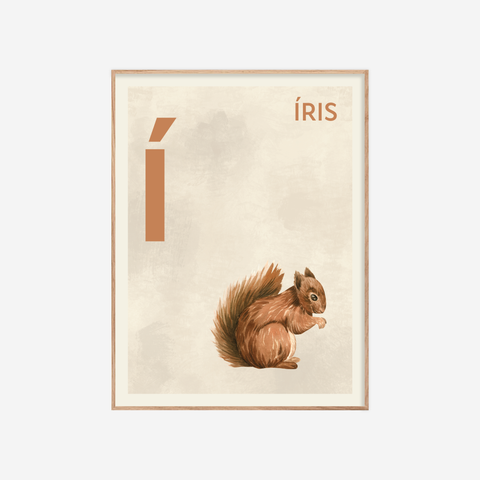 Íslenska stafrófið・Í・Plakat