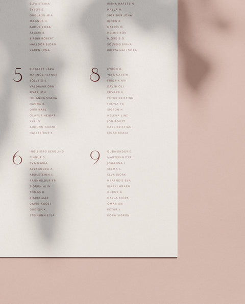 NÚMER 6 — BORÐASKIPAN