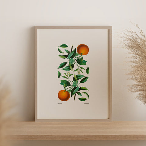 Appelsínur・Munstur・Plakat