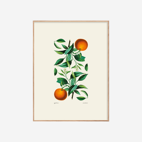 Appelsínur・Munstur・Plakat